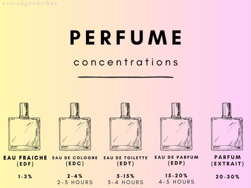 Dime Perfume longevity and performance throughout the day