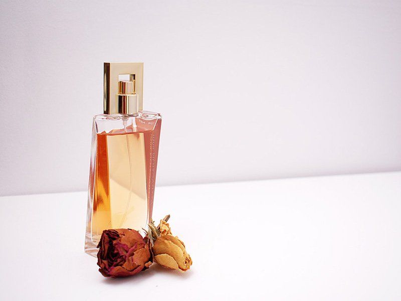 Kylie Jenner Perfume fragrance notes pyramid showing top heart and base notes Kylie Jenner Perfume (2026)