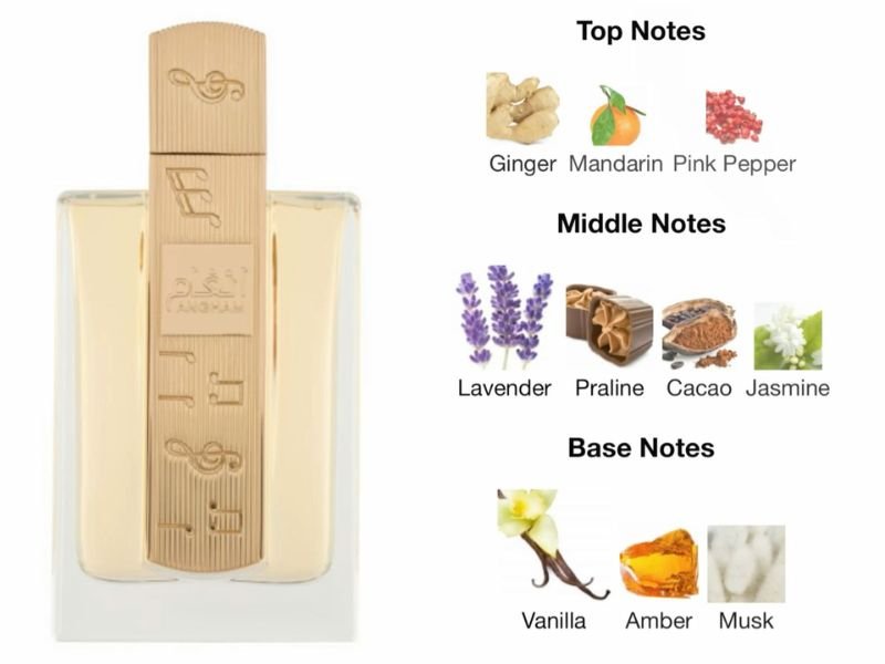 Oriental Perfume Ingredients Including Amber Vanilla Oud Cinnamon and Musk