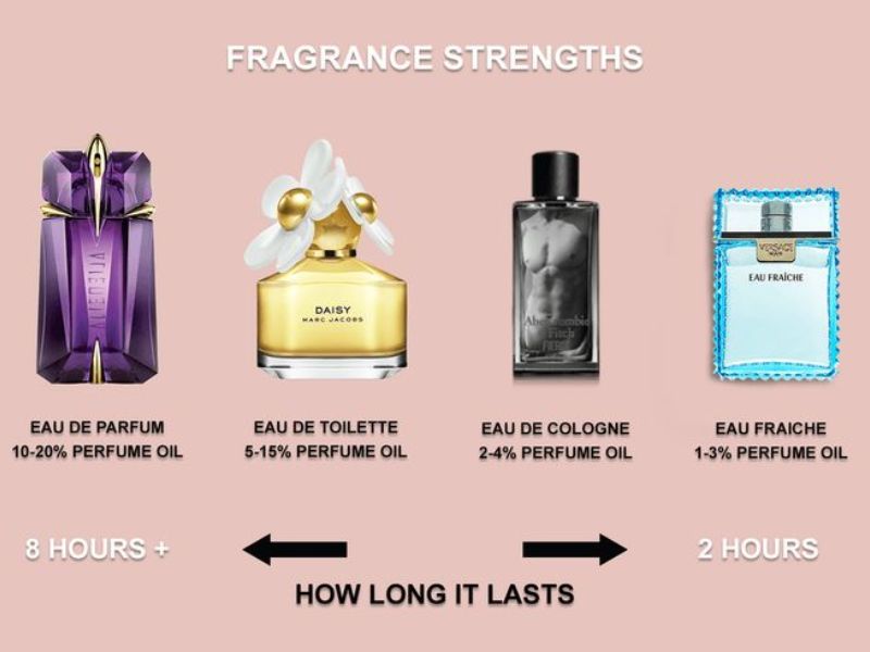 Comparison of perfume types based on fragrance concentration and longevity.